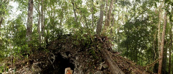 Früheste astronomische Aufzeichnungen der Maya entdeckt Früheste astronomische Aufzeichnungen der Maya entdeckt