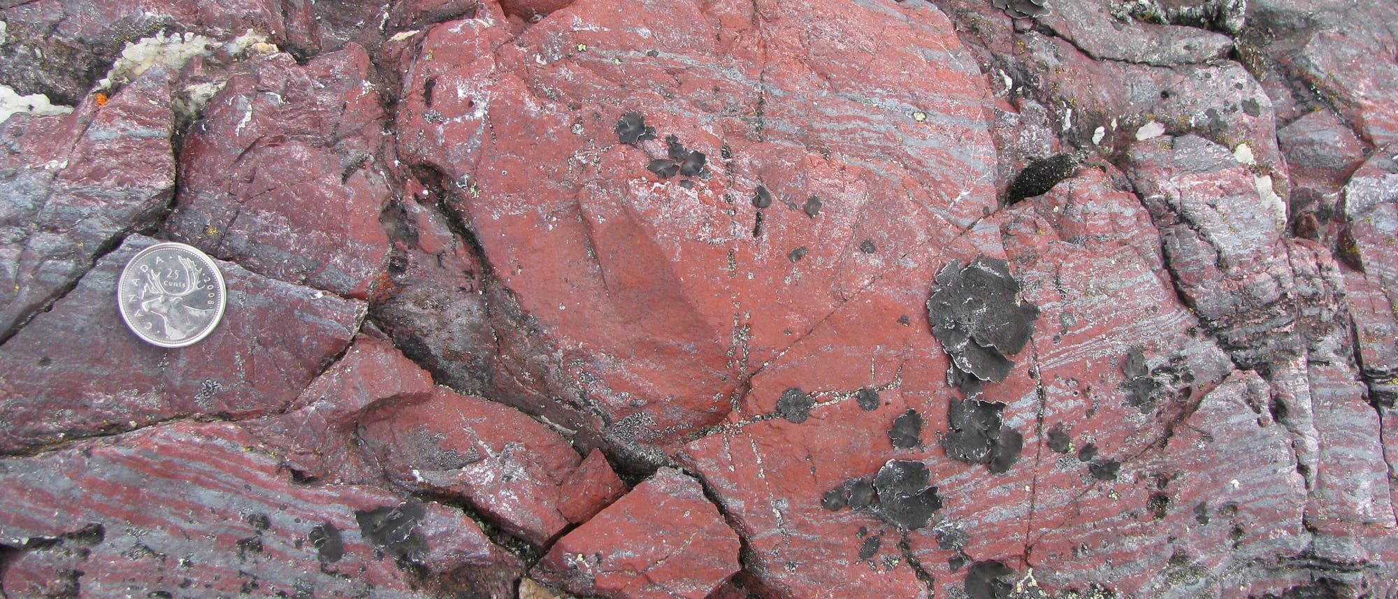 Die eisenreichen Mineralien enthalten womöglich die ältesten Spuren des Lebens auf der Erde Die eisenreichen Mineralien enthalten womöglich die ältesten Spuren des Lebens auf der Erde