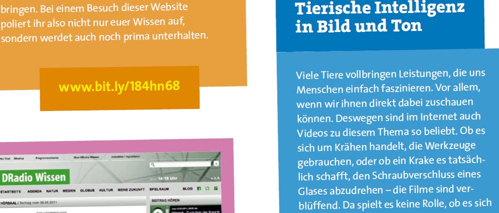 webtipps neo webtipps neo