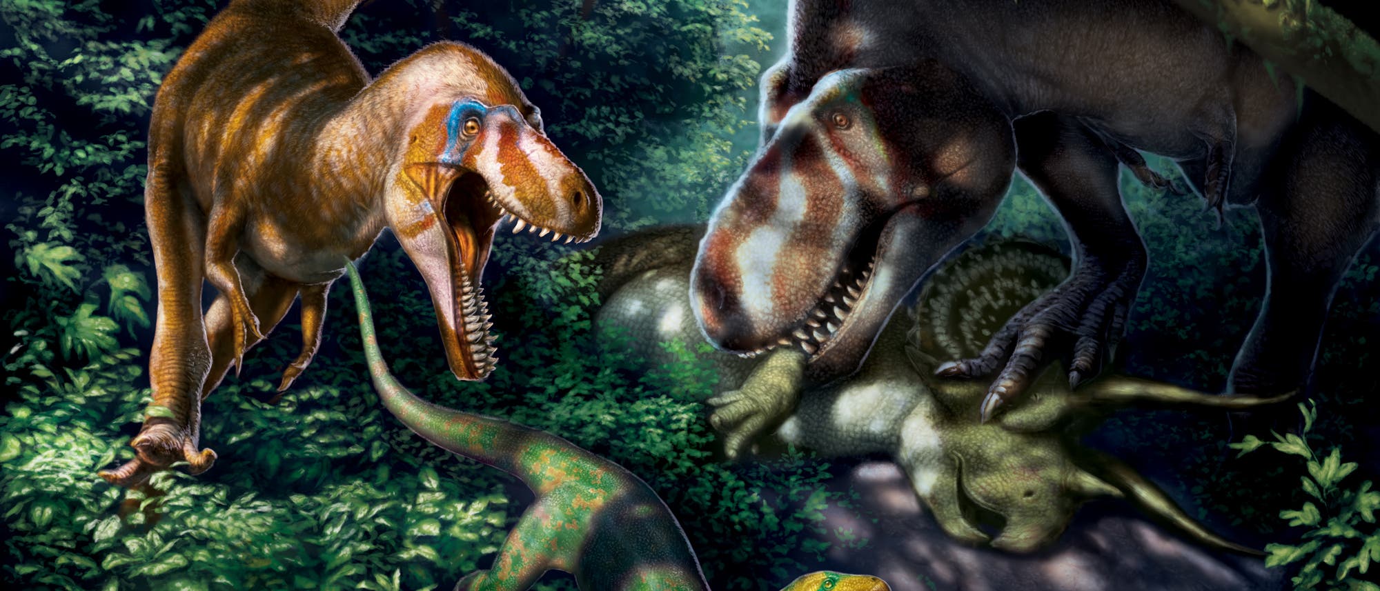 Schlank, leichtfüßig, messerscharfe Zähne - so könnten die Jungtiere von Tyrannosaurus rex ausgesehen haben. Schlank, leichtfüßig, messerscharfe Zähne - so könnten die Jungtiere von Tyrannosaurus rex ausgesehen haben.