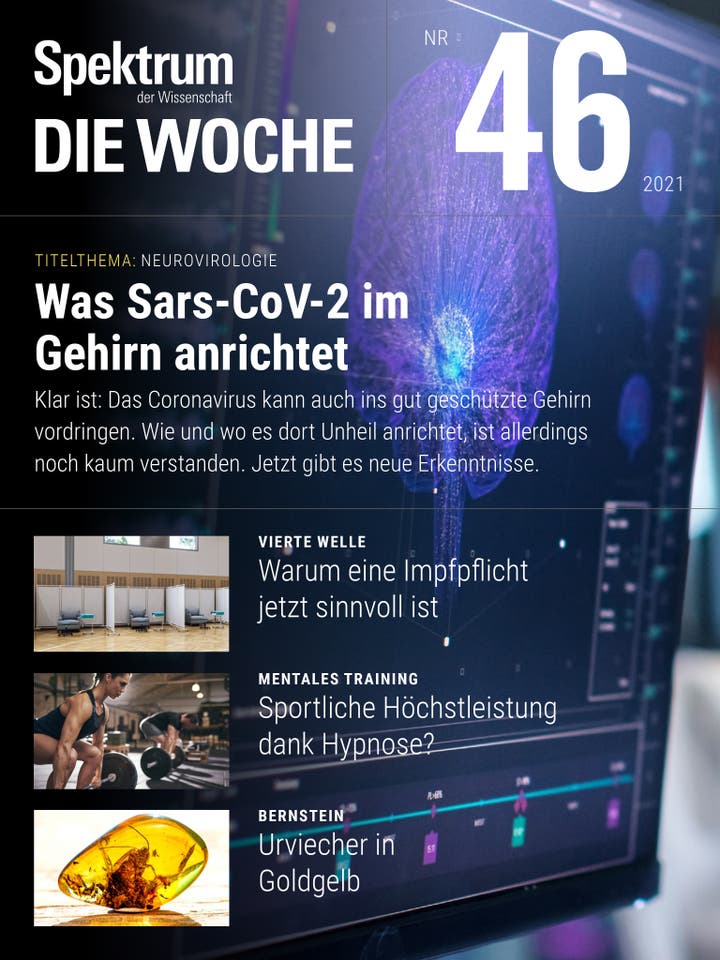 46/2021