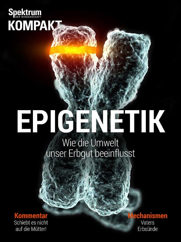Spektrum Kompakt:  Epigenetik – wie die Umwelt unser Erbgut beeinflusst
