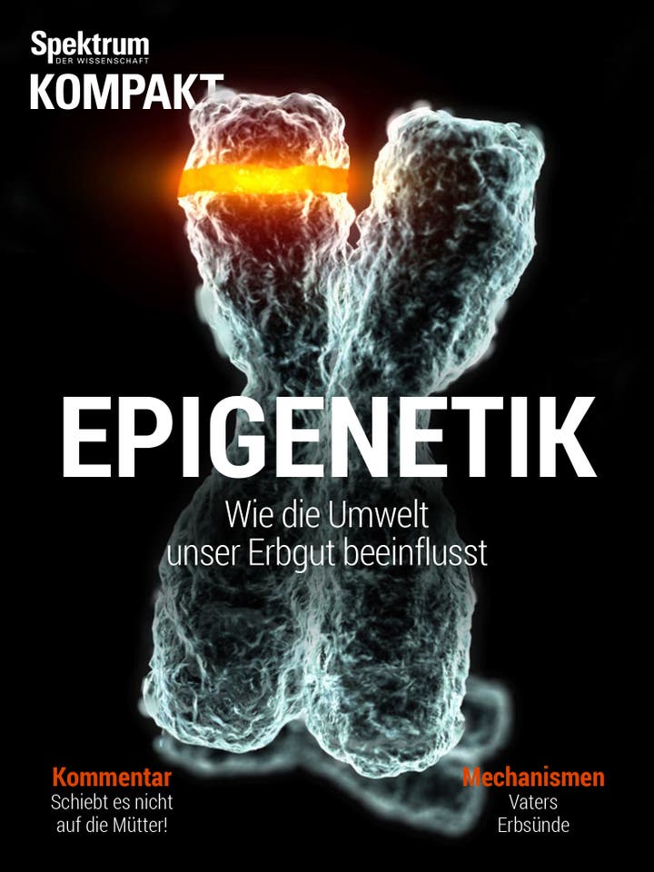 Epigenetik - wie die Umwelt unser Erbgut beeinflusst