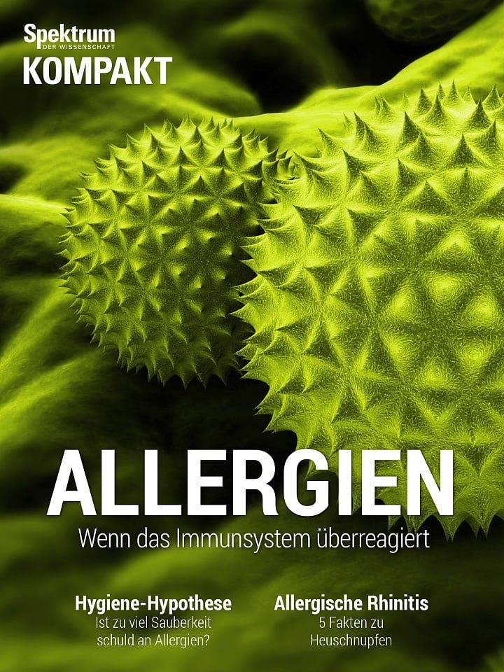 Spektrum Kompakt:  Allergien – Wenn das Immunsystem überreagiert