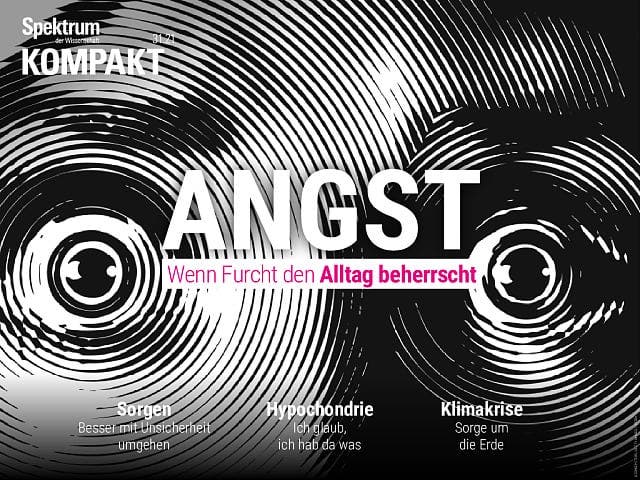 Spektrum Kompakt:  Angst – Wenn Furcht den Alltag beherrscht