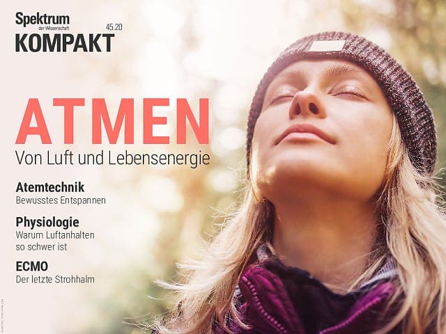 Spektrum Kompakt:  Atmen – Von Luft und Lebensenergie