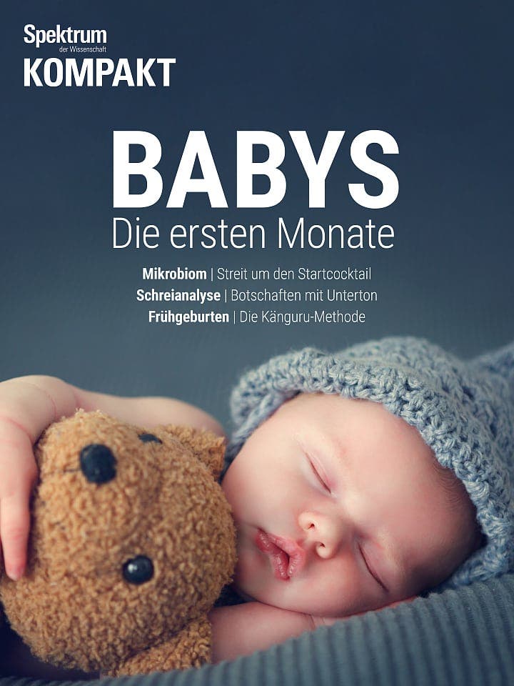 Spektrum Kompakt:  Babys – Die ersten Monate