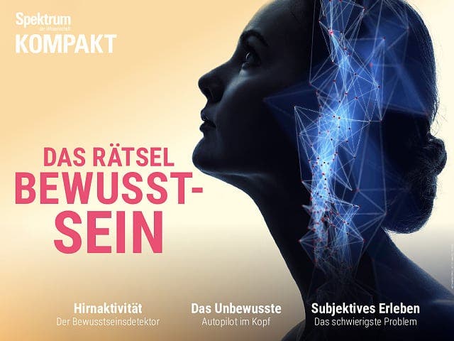 Spektrum Kompakt:  Das Rätsel Bewusstsein