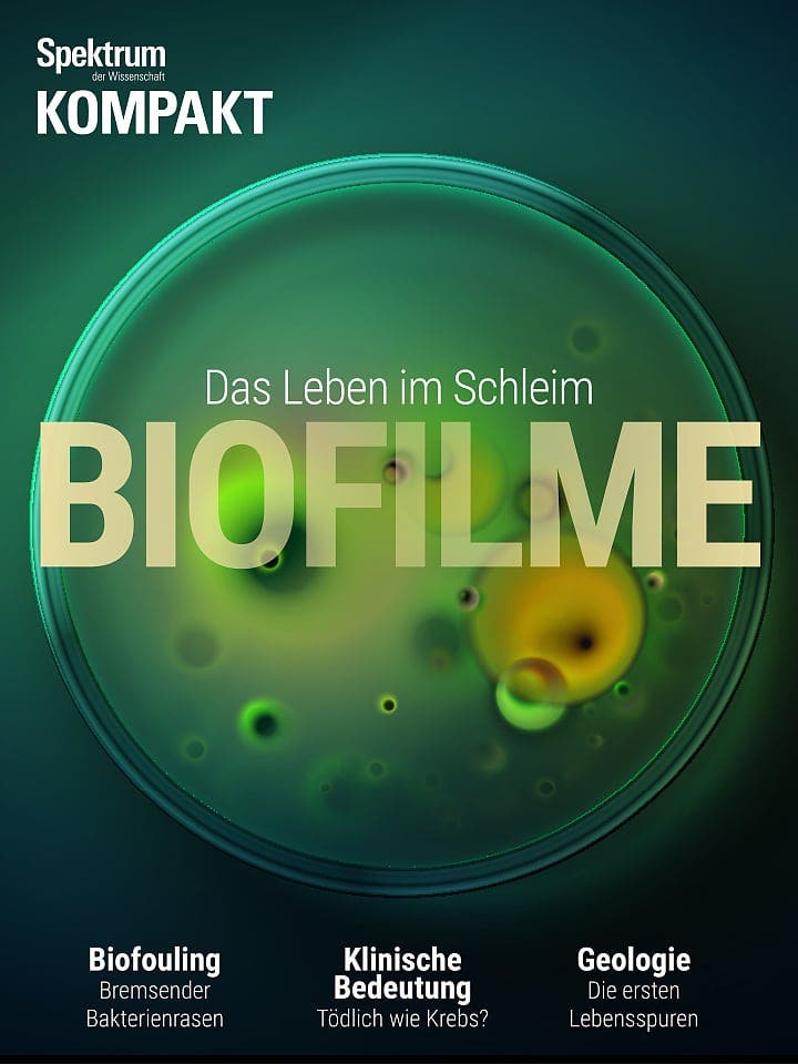Spektrum Kompakt:  Biofilme – Das Leben im Schleim