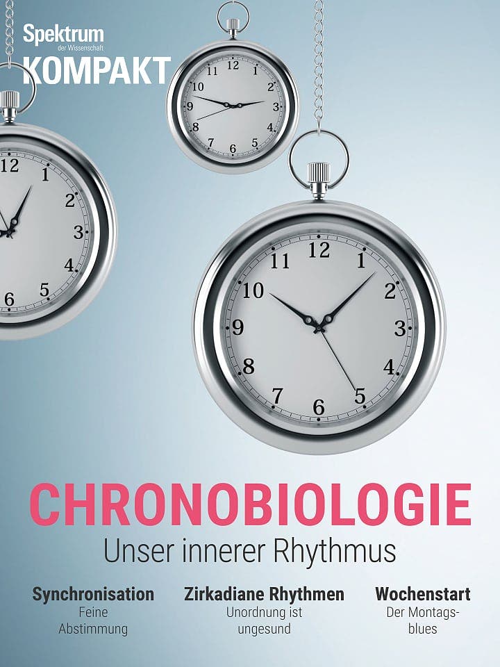 Spektrum Kompakt:  Chronobiologie – Unser innerer Rhythmus