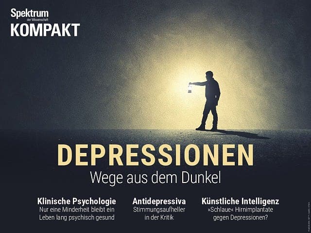 Spektrum Kompakt:  Depressionen – Wege aus dem Dunkel
