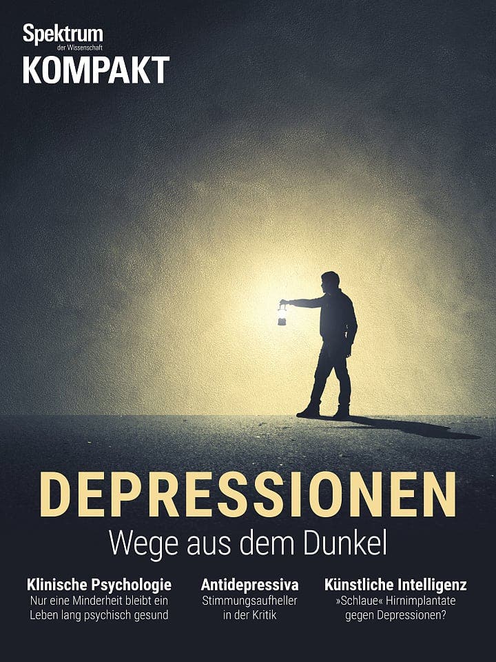 Spektrum Kompakt:  Depressionen – Wege aus dem Dunkel