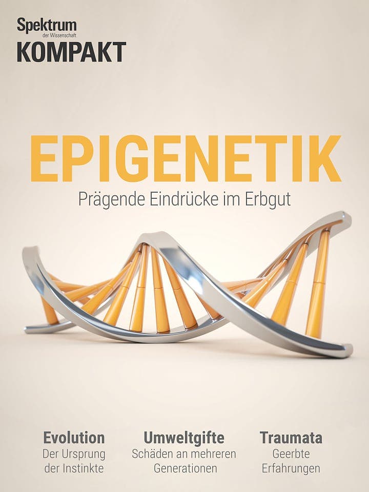Spektrum Kompakt:  Epigenetik – Prägende Eindrücke im Erbgut