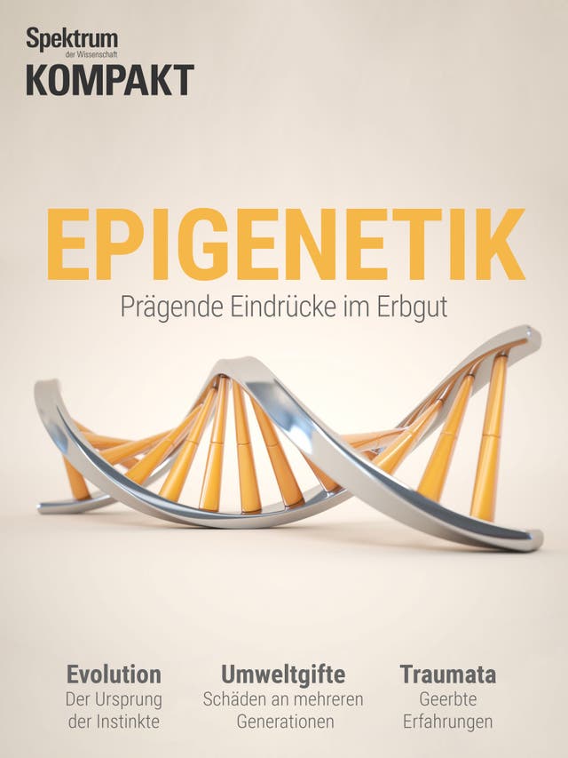 Epigenetik - Prägende Eindrücke im Erbgut