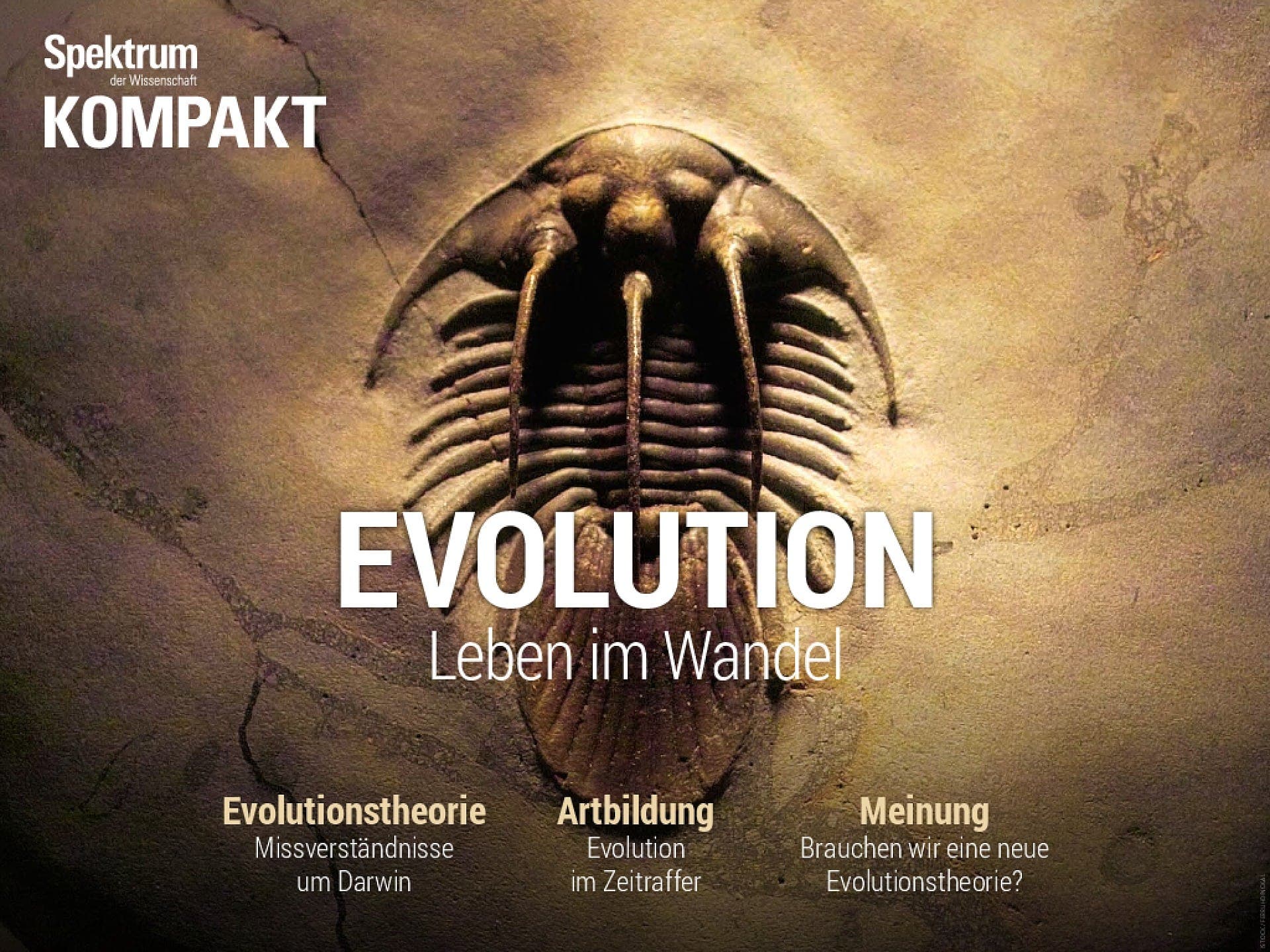 Evolution - Leben im Wandel