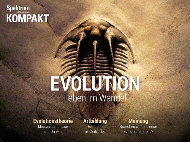Spektrum Kompakt:  Evolution – Leben im Wandel