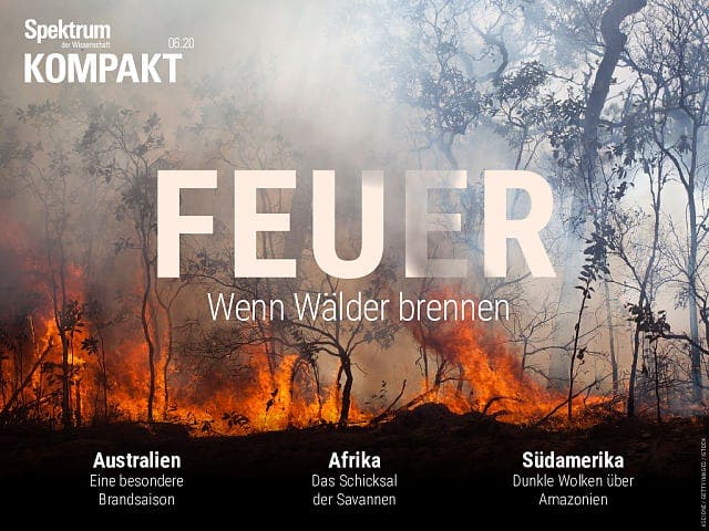 Spektrum Kompakt:  Feuer – Wenn Wälder brennen