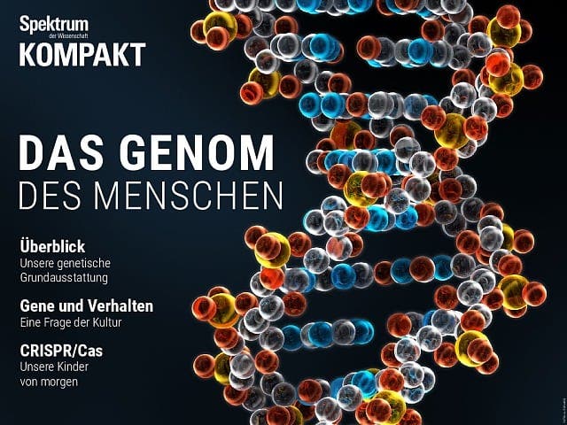 Spektrum Kompakt:  Das Genom des Menschen