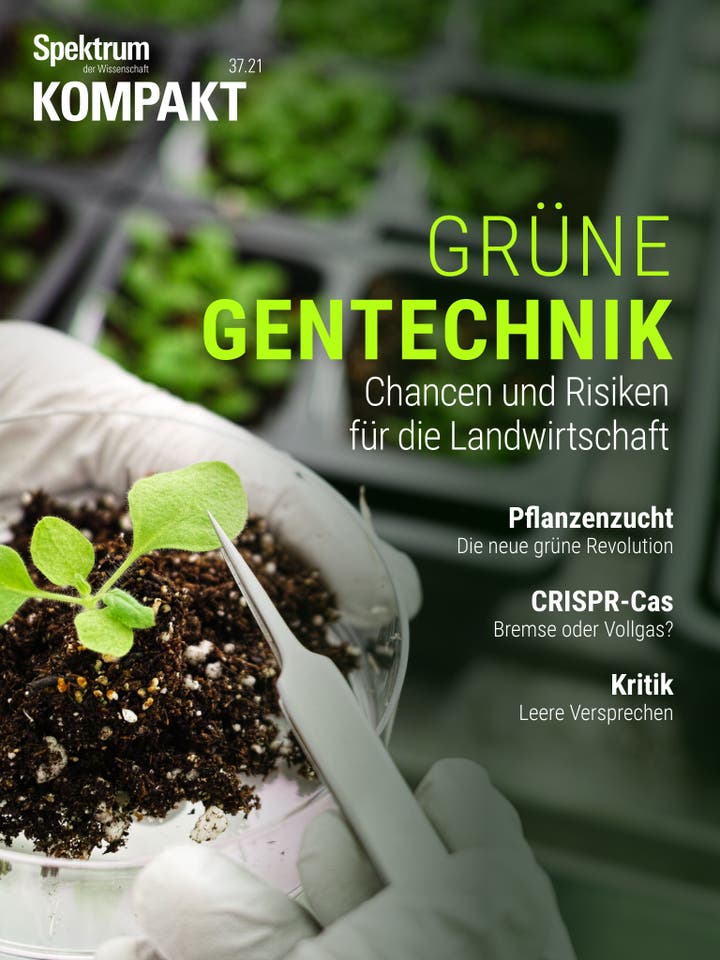 Grüne Gentechnik – Chancen und Risiken für die Landwirtschaft