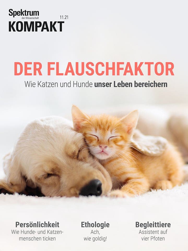 Spektrum Kompakt: Der Flauschfaktor – Wie Katzen und Hunde unser Leben bereichern