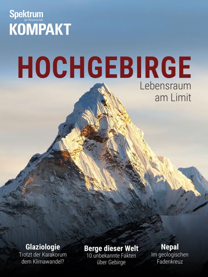Hochgebirge - Lebensraum am Limit