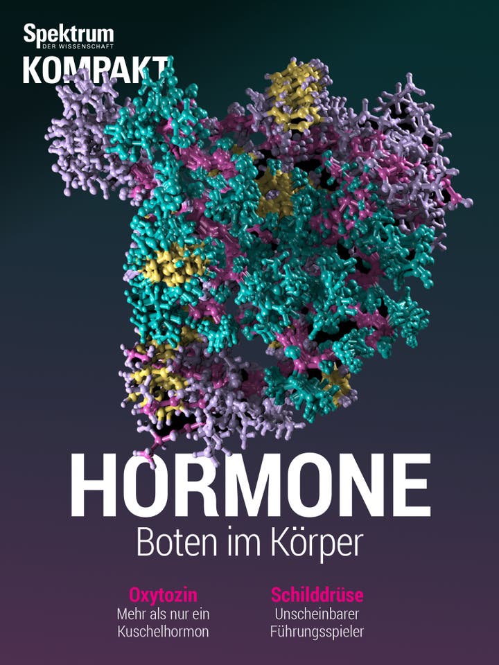 Hormone - Boten im Körper