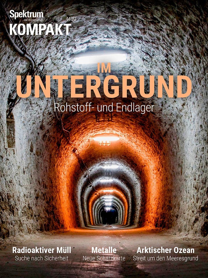 Spektrum Kompakt:  Im Untergrund – Rohstoff- und Endlager