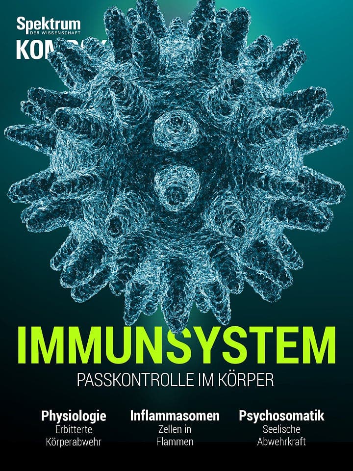 Spektrum Kompakt:  Immunsystem – Passkontrolle im Körper