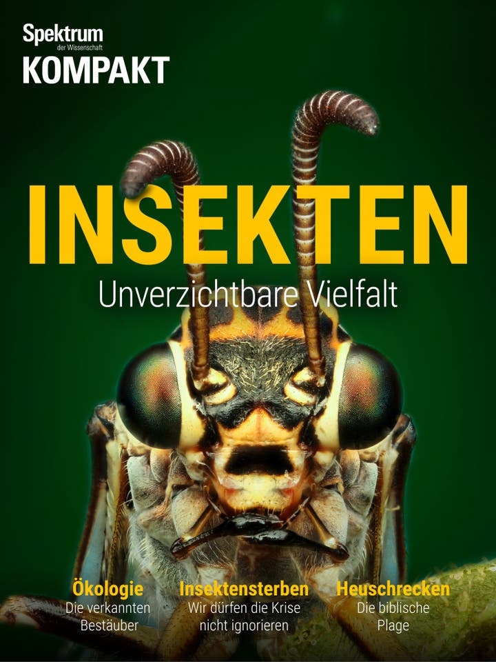 Insekten - Unverzichtbare Vielfalt