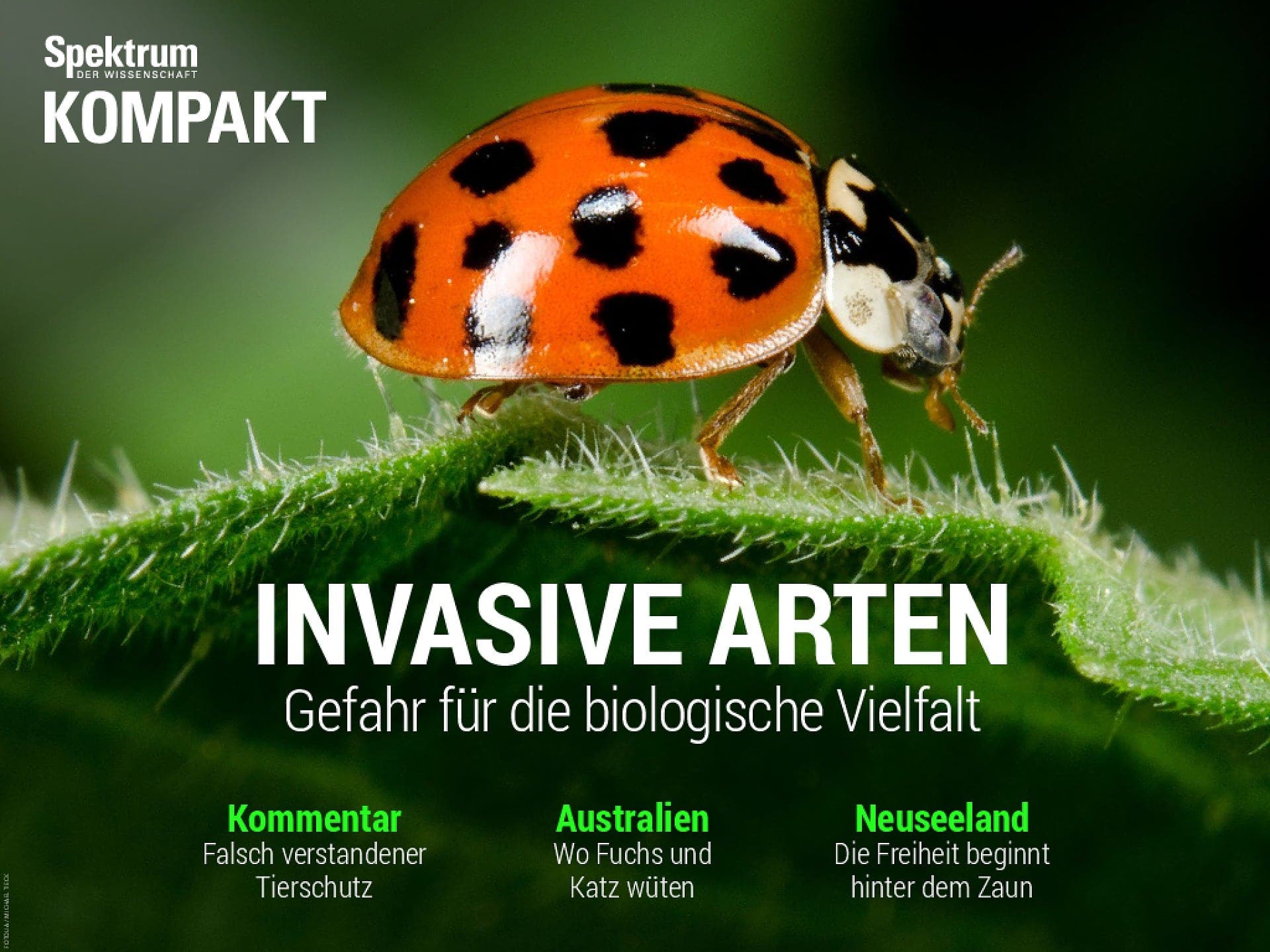 Invasive Arten - Gefahr für die biologische Vielfalt