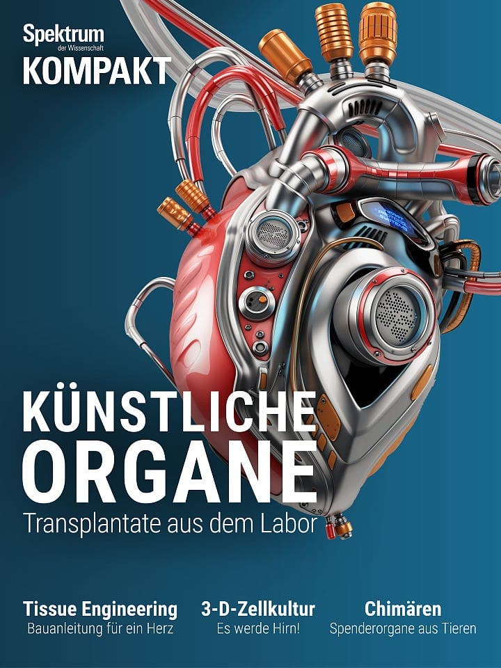 Spektrum Kompakt:  Künstliche Organe – Transplantate aus dem Labor