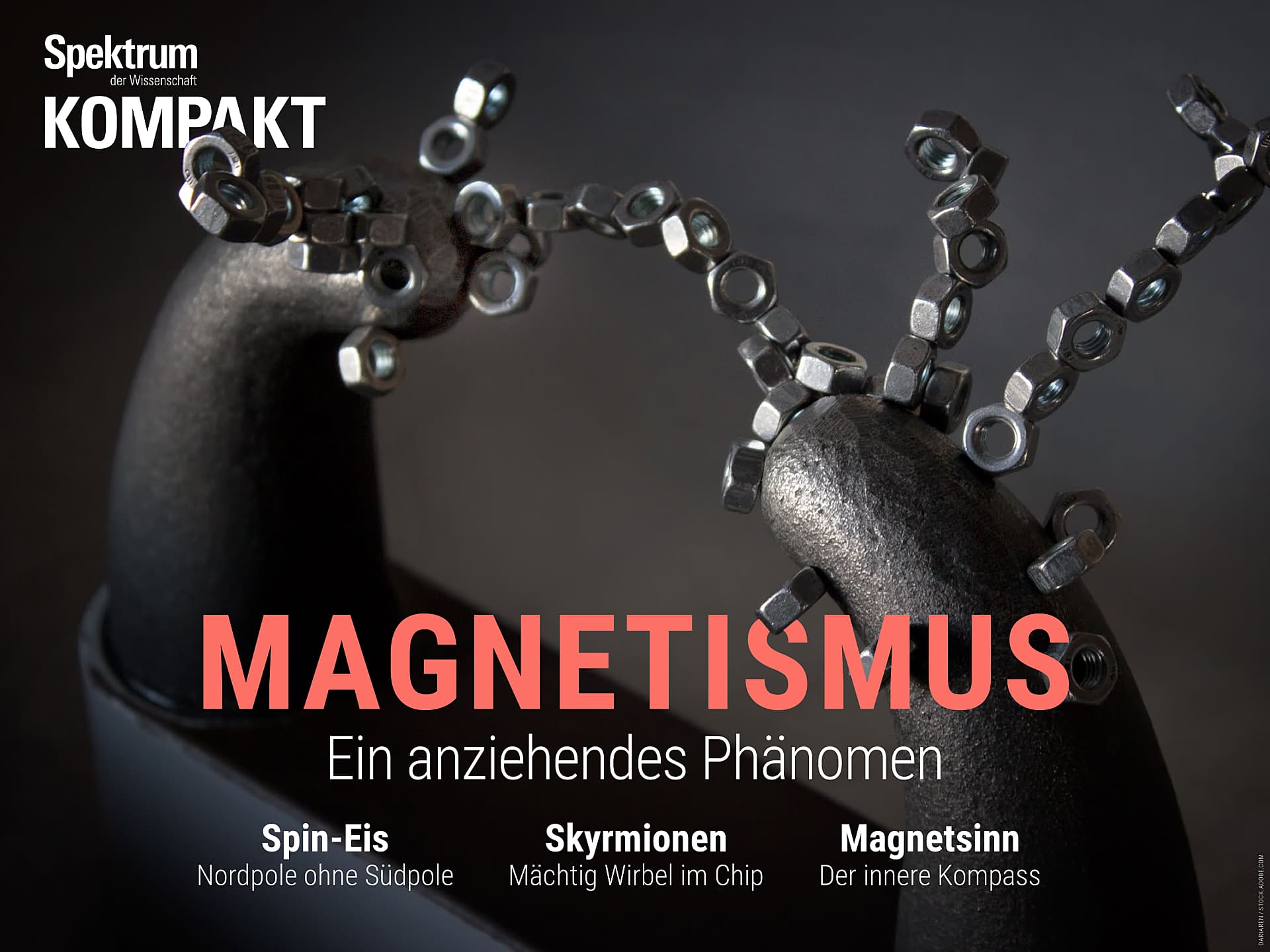 Magnetismus - Ein anziehendes Phänomen
