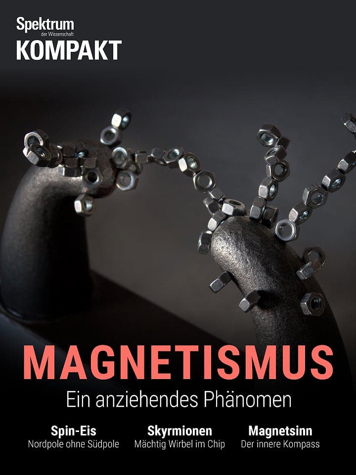 Magnetismus - Ein anziehendes Phänomen