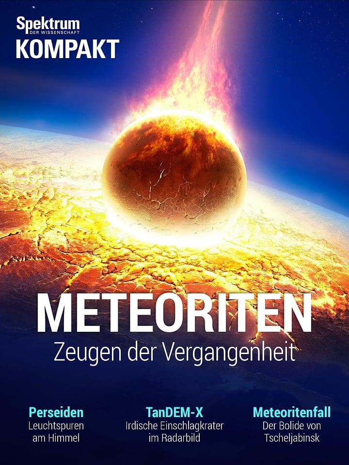 Spektrum Kompakt:  Meteoriten – Zeugen der Vergangenheit