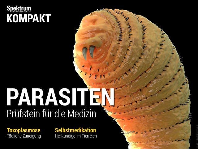 Spektrum Kompakt:  Parasiten – Prüfstein für die Medizin