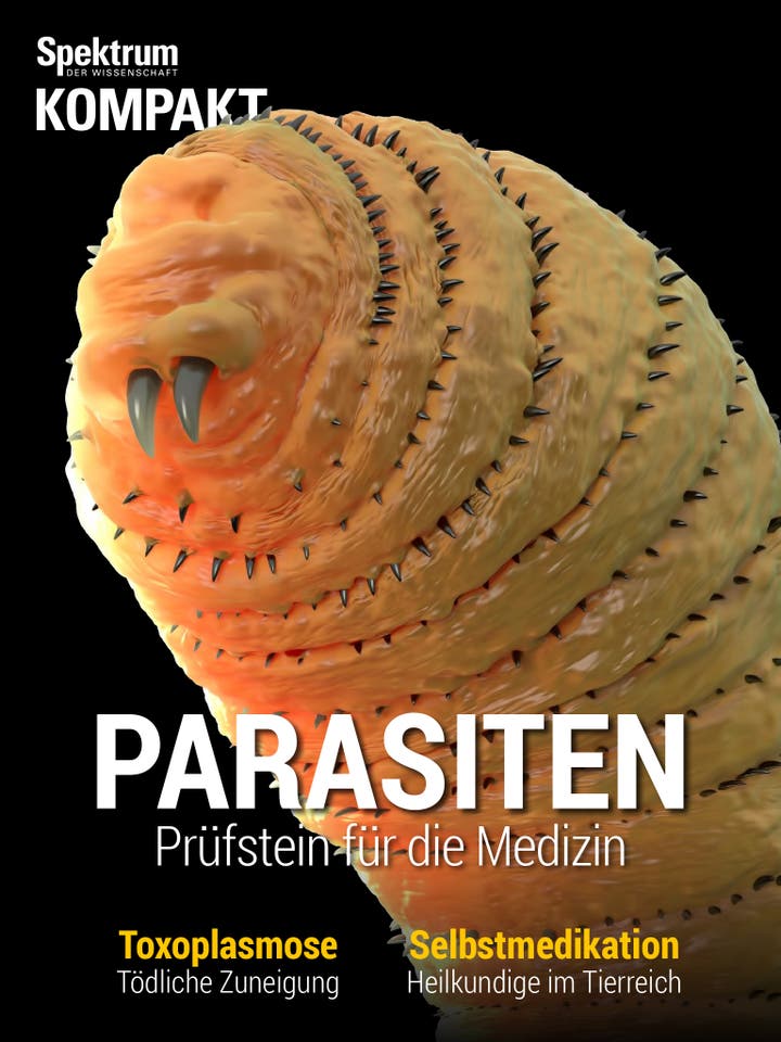 Parasiten - Prüfstein für die Medizin