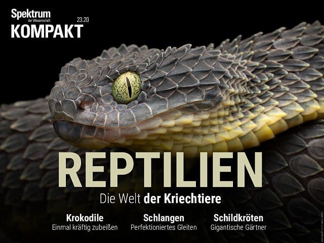 Reptilien - Die Welt der Kriechtiere