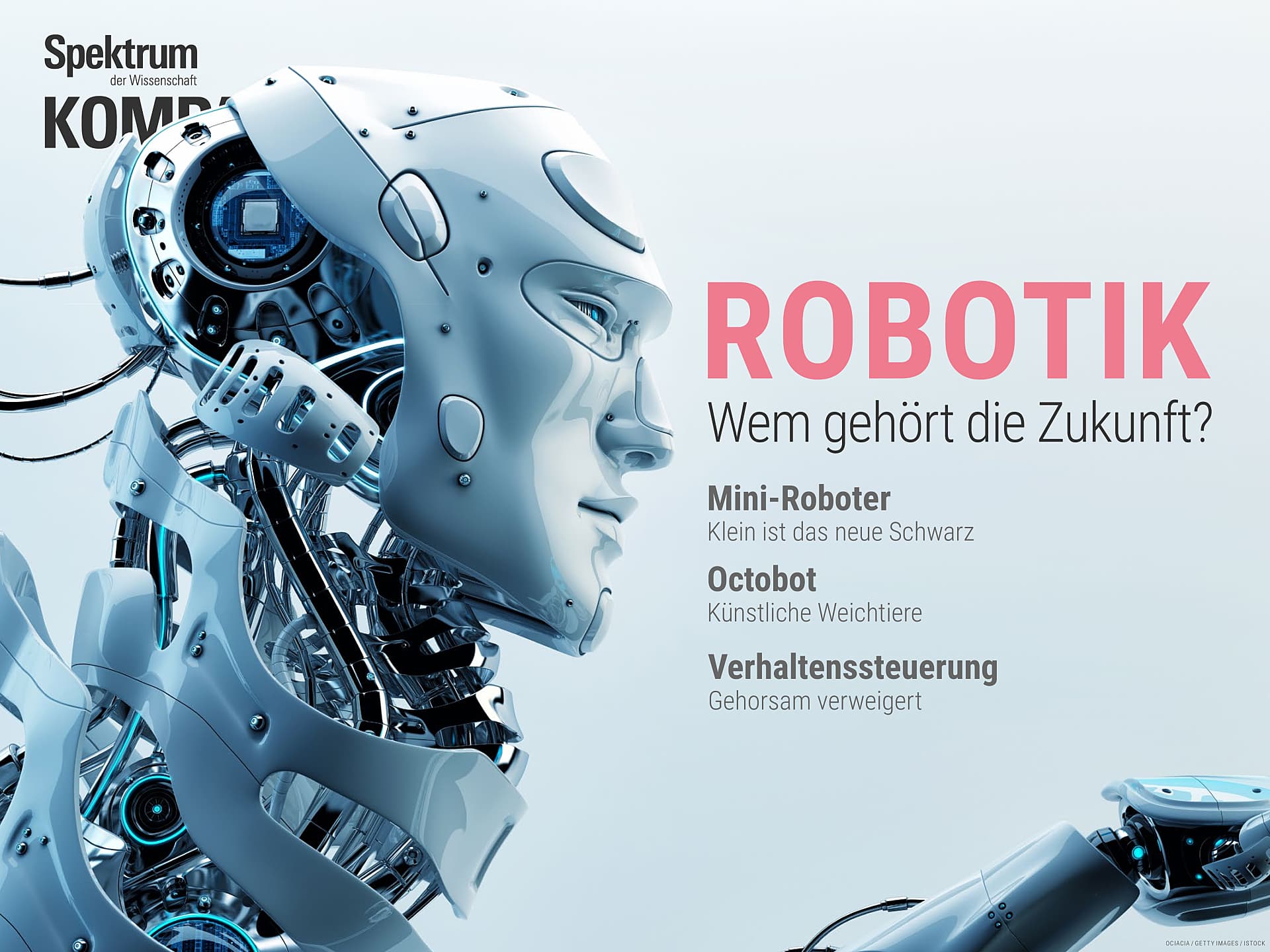 Robotik - Wem gehört die Zukunft?