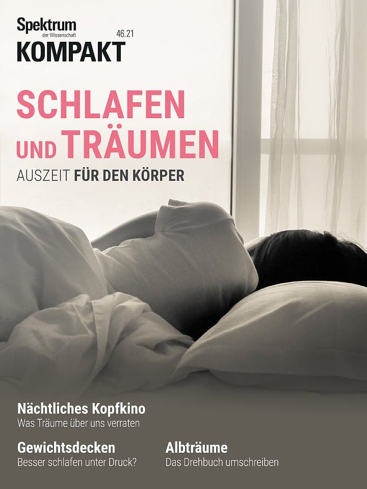 Schlafen und Träumen - Auszeit für den Körper