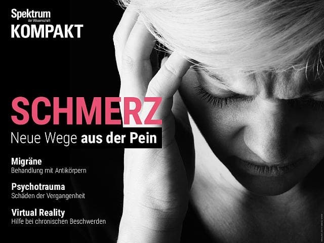 Spektrum Kompakt:  Schmerz – Neue Wege aus der Pein