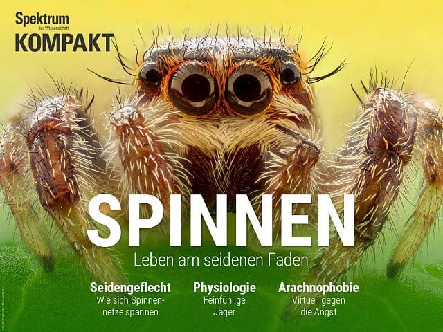 Spektrum Kompakt:  Spinnen – Leben am seidenen Faden