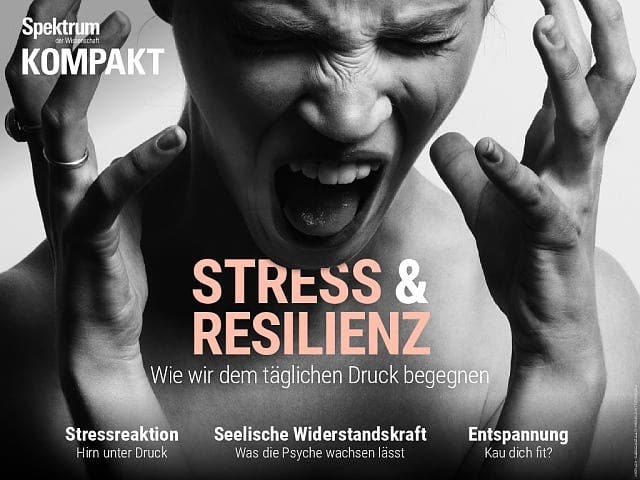 Spektrum Kompakt:  Stress und Resilienz – Wie wir dem täglichen Druck begegnen