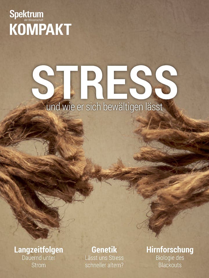 Spektrum Kompakt:  Stress – und wie er sich bewältigen lässt