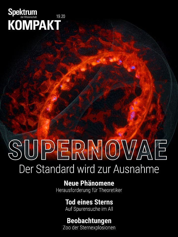 Spektrum Kompakt:  Supernovae – Der Standard wird zur Ausnahme