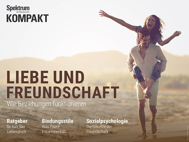 Im Rückblick: Therapie Der Liebe - Spektrum Der Wissenschaft