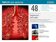 Spektrum - Die Woche - 2012 - 48. KW 2012
