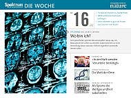 Spektrum - Die Woche - 2013 - 16. KW 2013