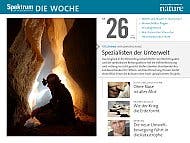 Spektrum - Die Woche - 2014 - 26. KW 2014