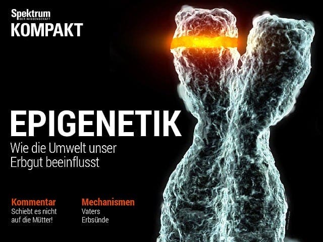 Spektrum Kompakt:  Epigenetik – wie die Umwelt unser Erbgut beeinflusst