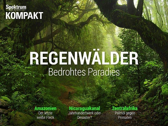 Spektrum Kompakt:  Regenwälder – Bedrohtes Paradies